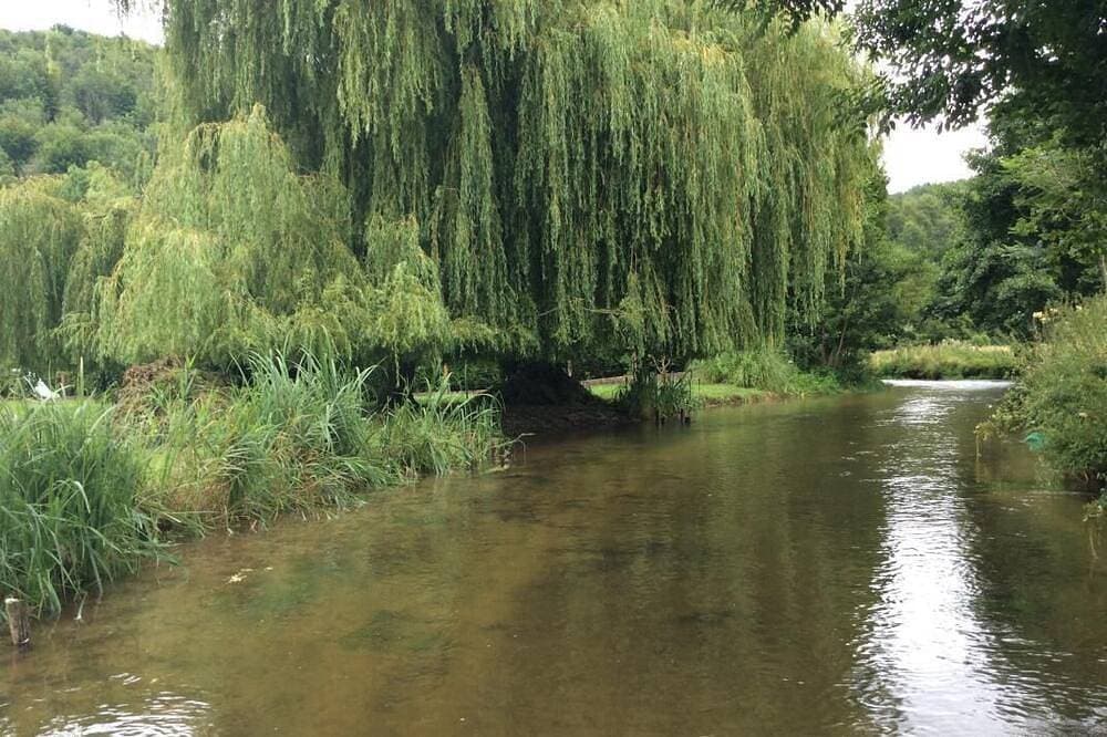 Foto 13 von 17: La Rivière - Contremoulins La Vallee