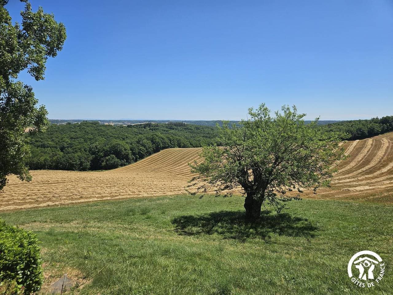 Foto 2 von 29: Montgach