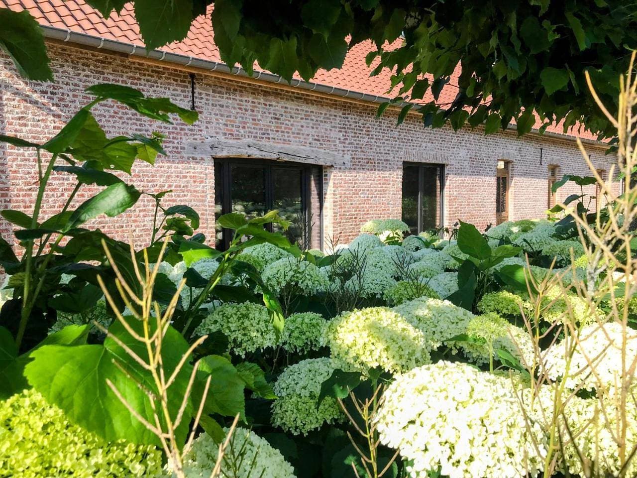 Foto 10 von 38: Deluxe One-Bedroom Apartment with Garden View
