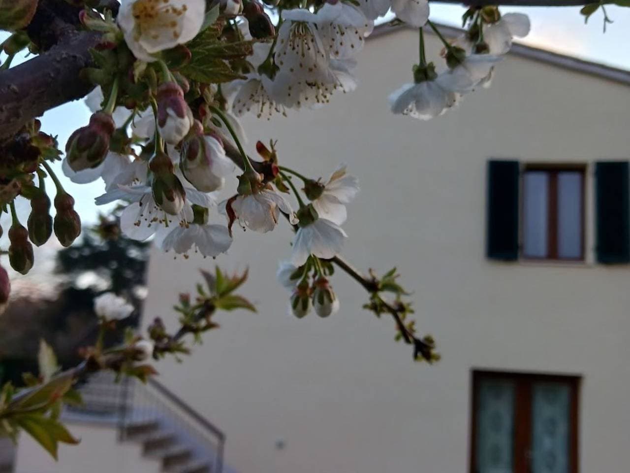Foto 5 von 35: Natur, Komfort und Entspannung