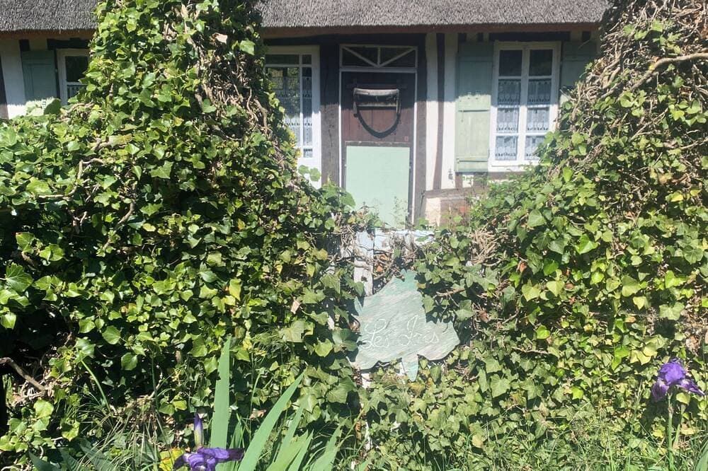 Foto 13 von 21: Reetdachhaus am Ufer der Seine