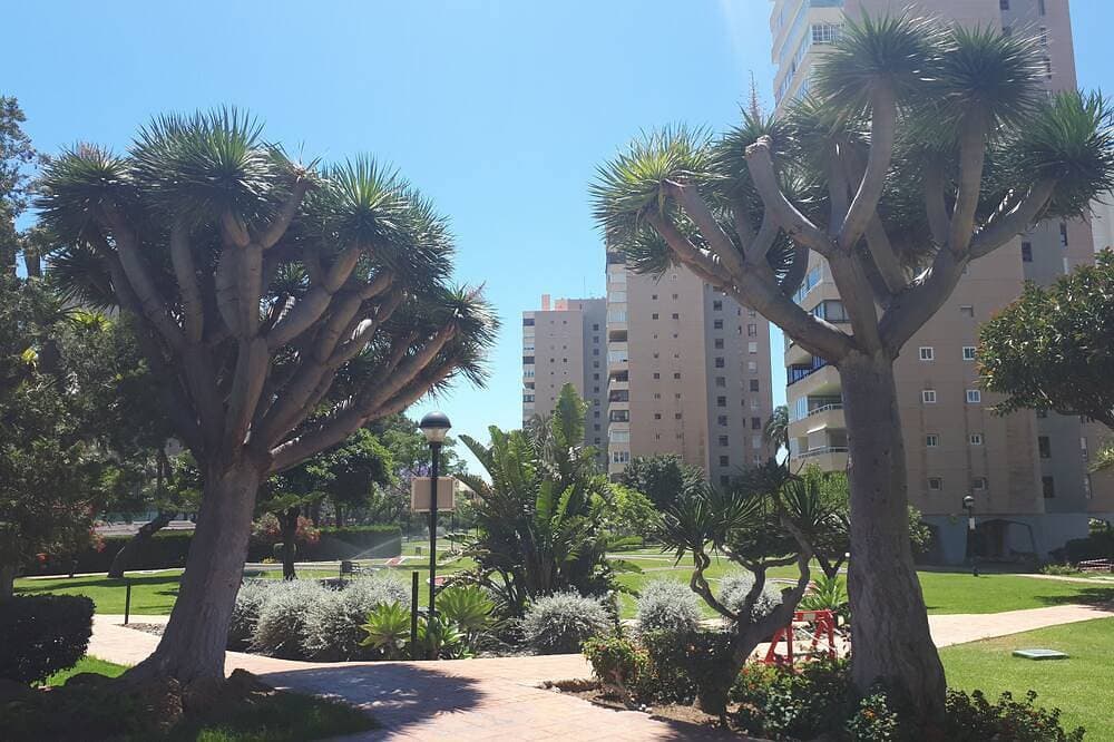 Foto 13 von 30: Oasis Playamar
