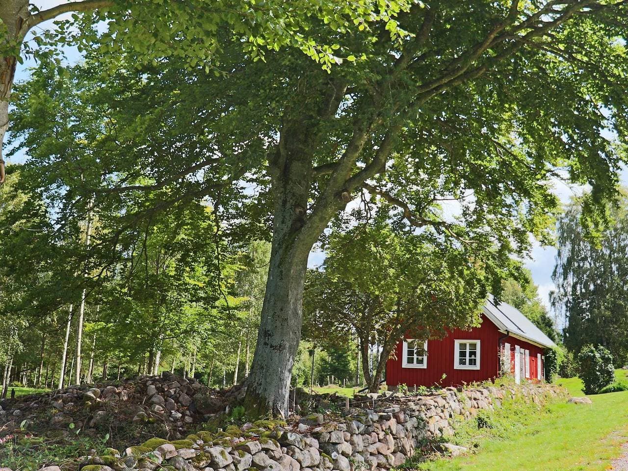 Foto 6 von 26: 4 Personen Ferienhaus in Unnaryd