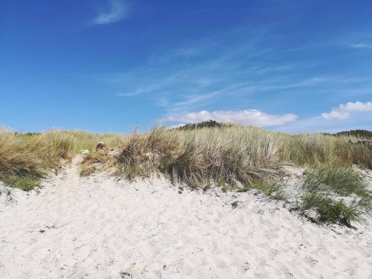 Foto 3 von 41: Helles Strandhaus