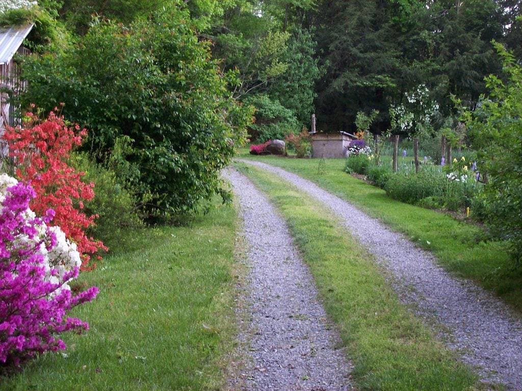 Creekside Cottage liegt über Lg. Mt. Creek in Woods, Blick in den Park!  Haustiere Ok! 1