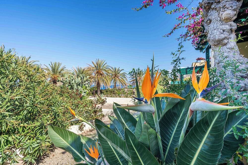 Foto 11 von 30: [new] Carissa House in Crete
