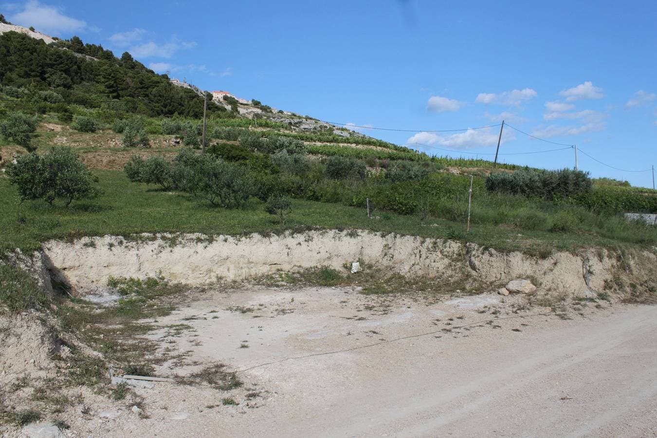 Foto 12 von 16: Zimmer am Strand Bucht Zarace, Hvar S-8781-b