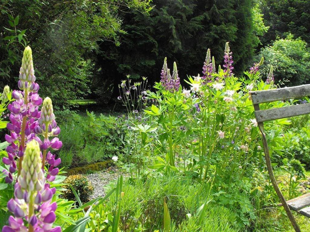 Foto 4 von 8: Suite with Garden View