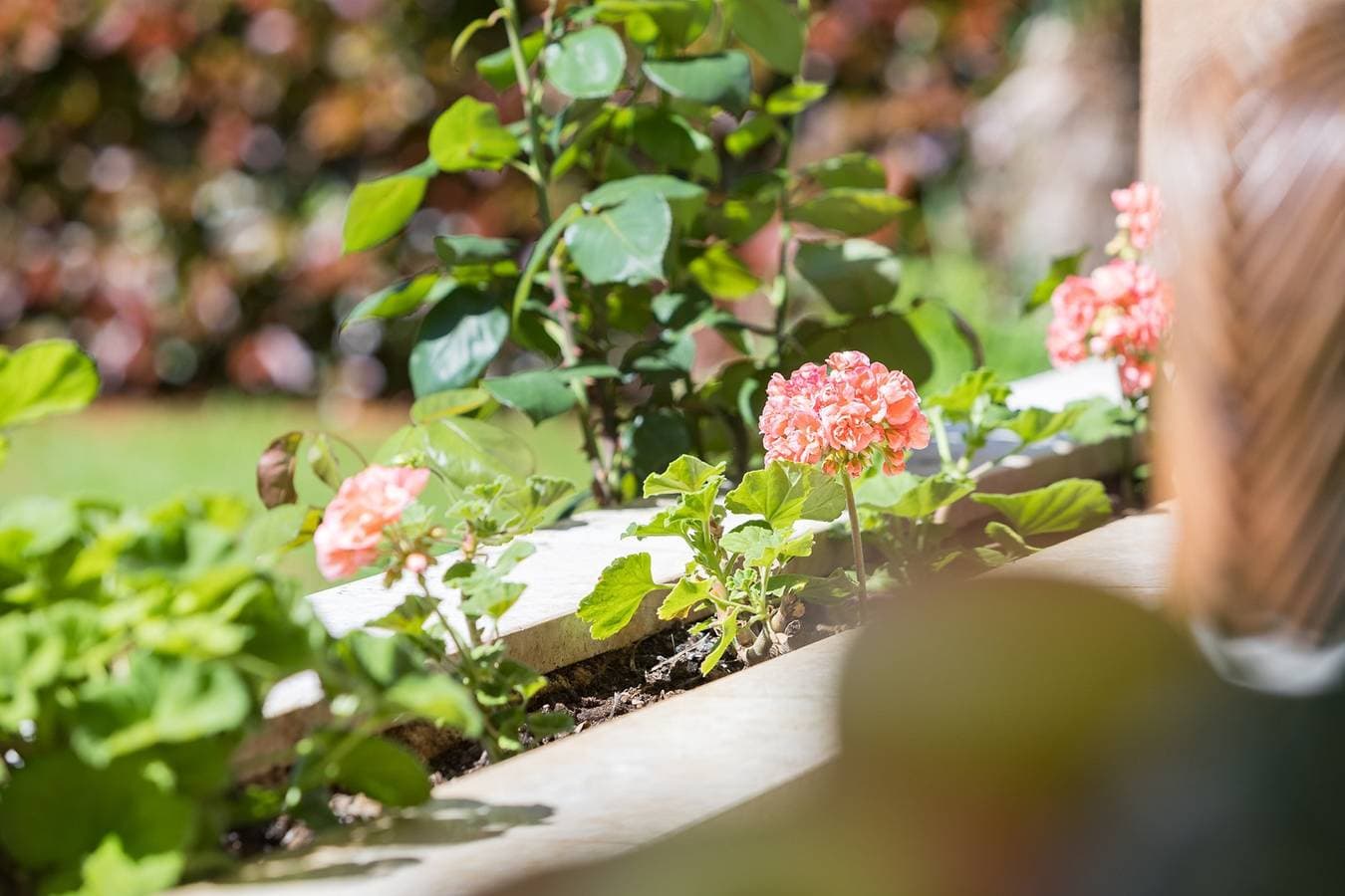 Foto 5 von 24: Die Schönheit des gepflegten Gartens, die Nähe der Strände, die Privatsphäre, die Ruhe und die Ruhe sind die Hauptvorteile dieser bezaubernden Wohnung!