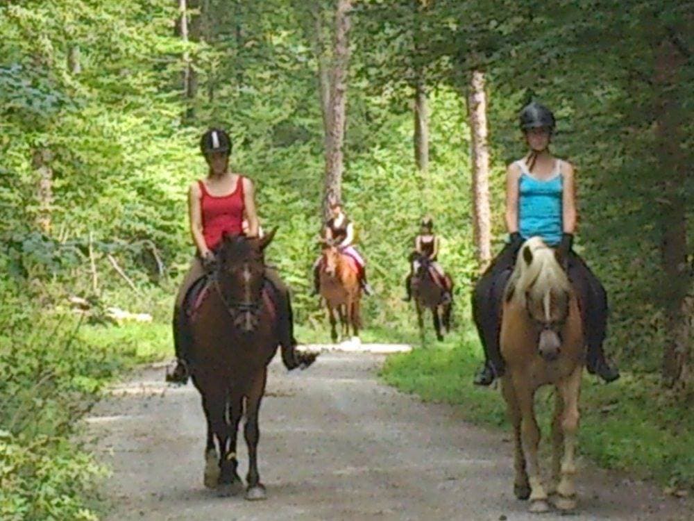 Foto 13 von 28: Ferienhof Pfeiffer - Fuchsbau