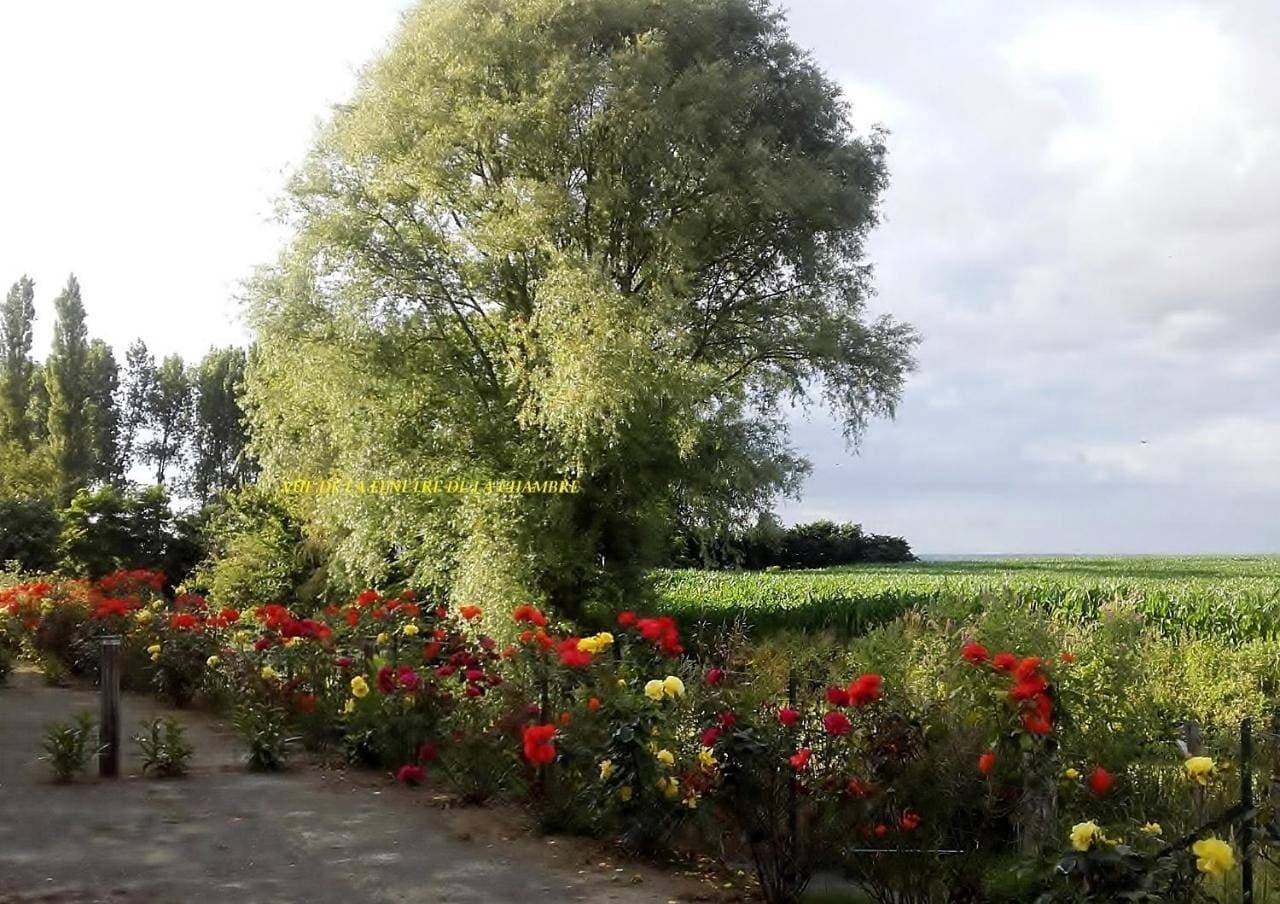 Foto 10 von 22: Les 2 Clos