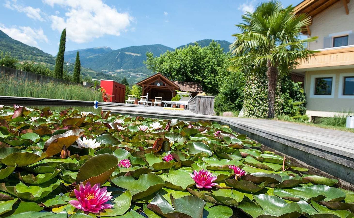 Foto 9 von 26: Ferienwohnung "Weinsepphof 2" mit Bergblick, Pool, WLAN, Garten & Balkon