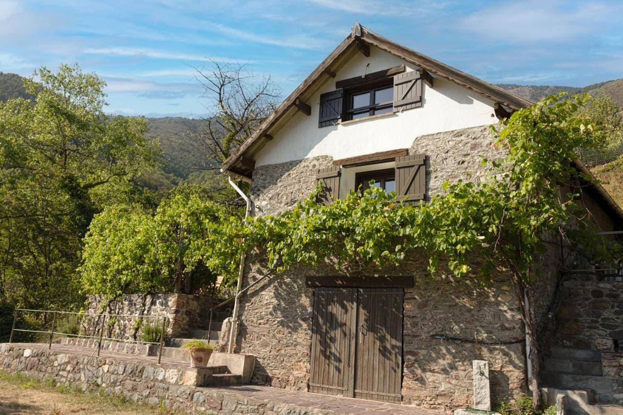 La petite châtaigne 1