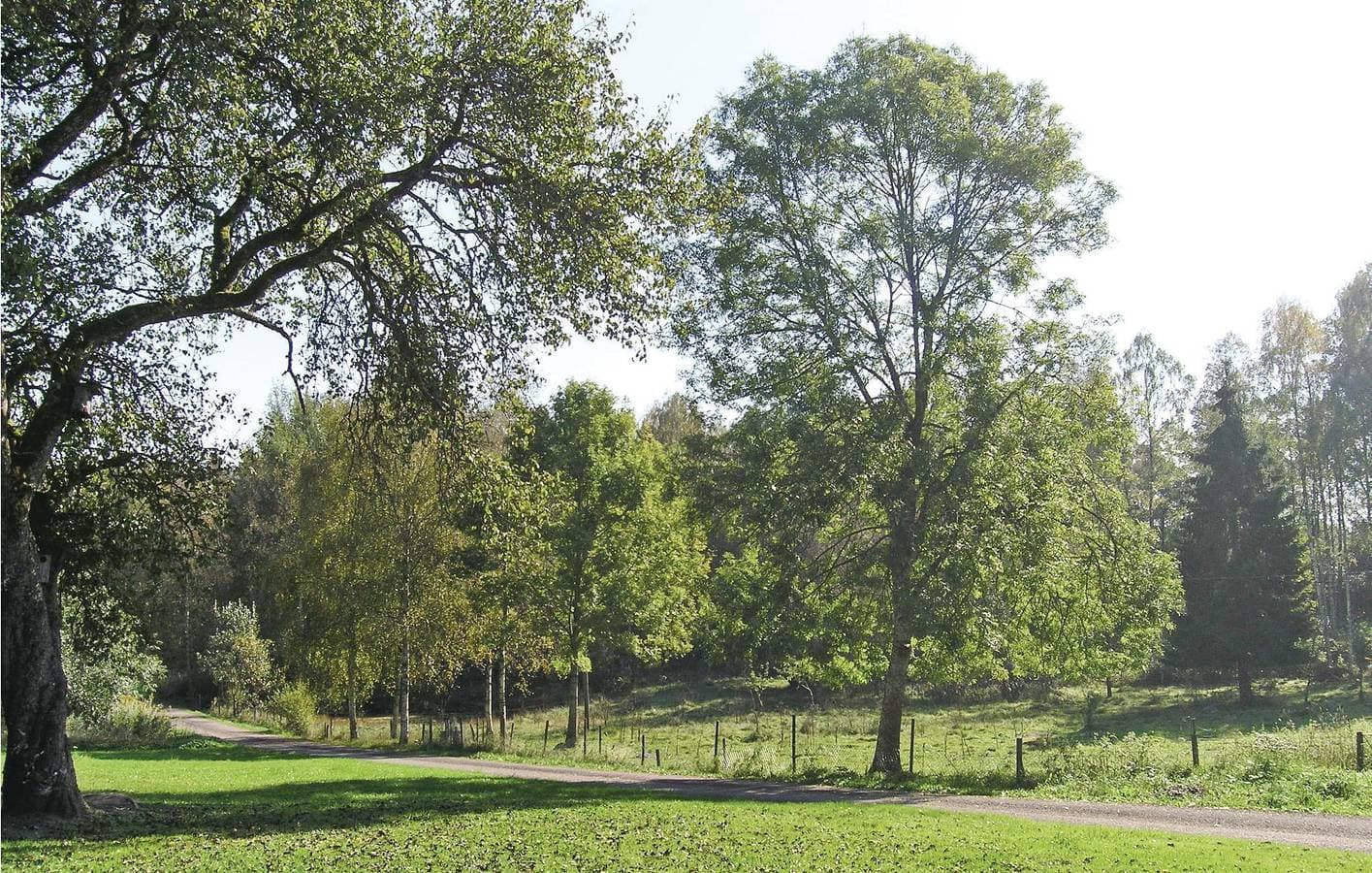 Foto 9 von 10: Ferienwohnung für 4 Personen mit Garten