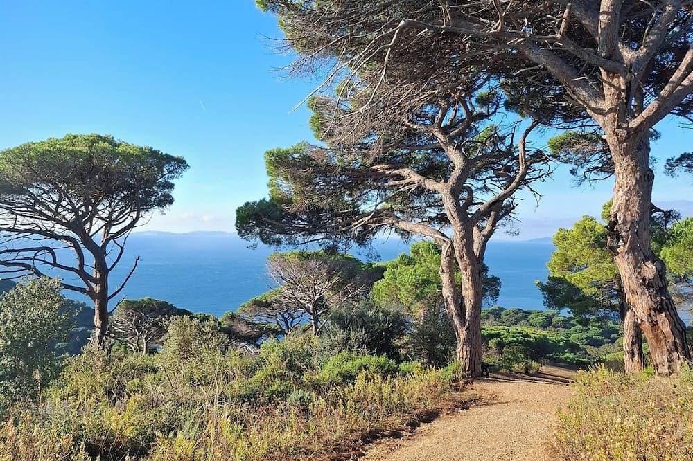 T2 air-conditioned, Wifi broadband, garden level, Gigaro beach and paths 500m away 1