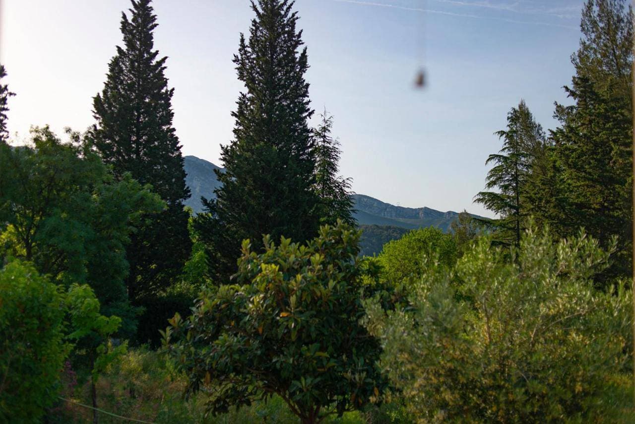 Foto 5 von 17: Suite with Garden View