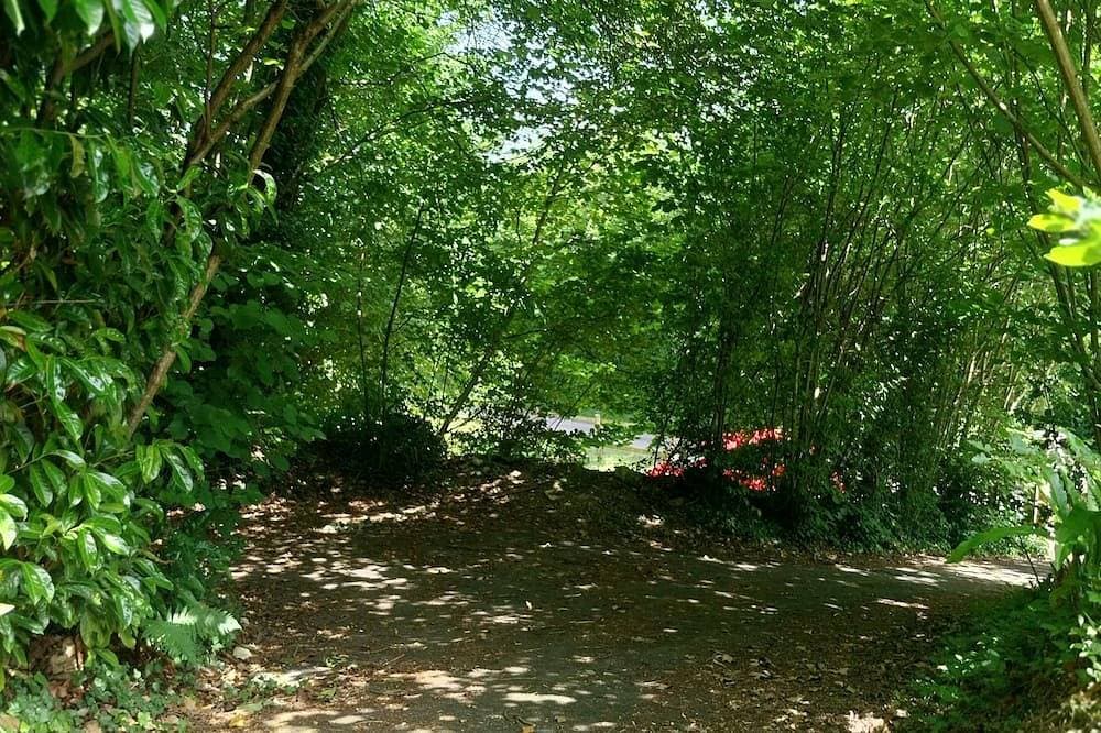Foto 6 von 19: Maison en lisière de forêt au calme.