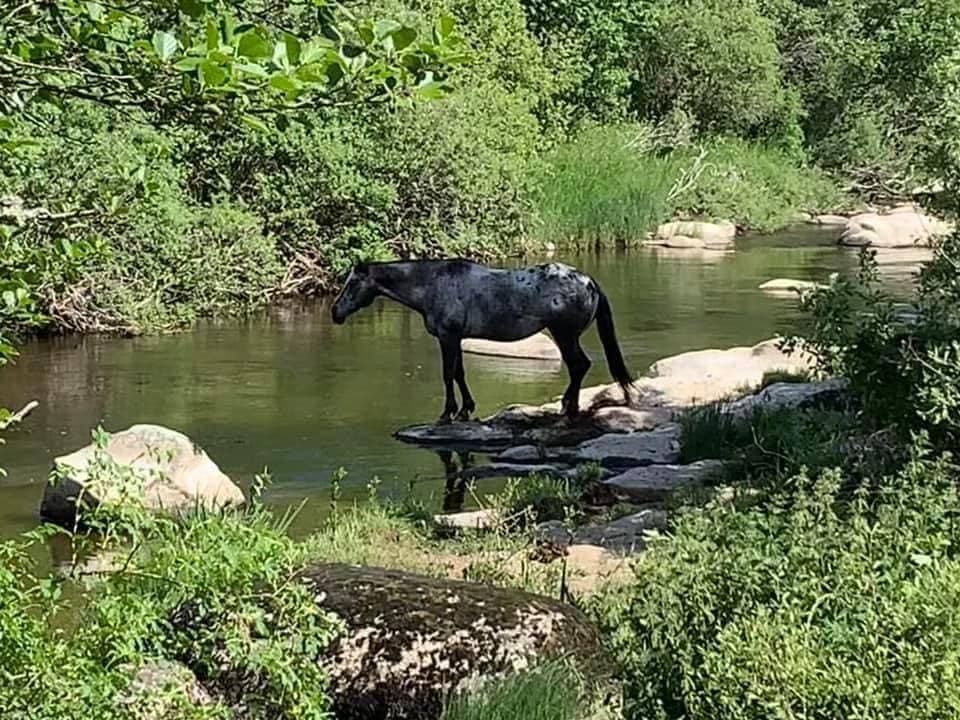 Foto 13 von 19: Le Bes, à la Chaldette