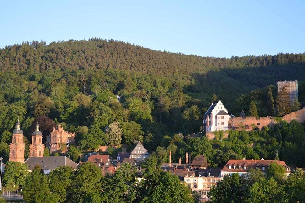 Panorama-Blick Miltenberg, 3 Pers., zentral, am Main, Terrasse, Bootverleih, P 1