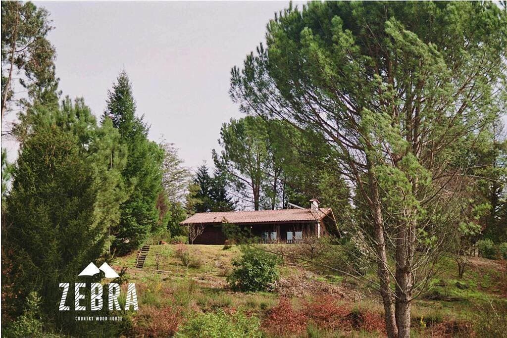 Zebra Country Wood House 1