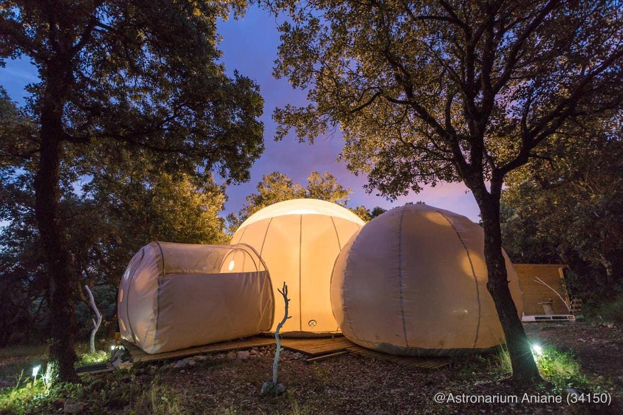 Foto 5 von 5: Tent