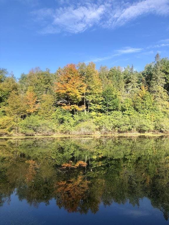 Foto 4 von 20: Dantes Den in der Natur