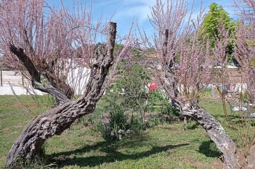 Foto 7 von 30: Le Gîte La Maison De Papou Le Tilleul