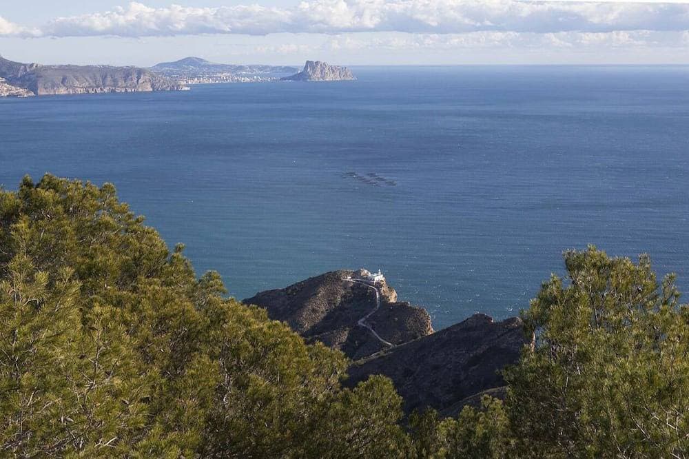 Foto 13 von 19: Athena Schönheit in Altea