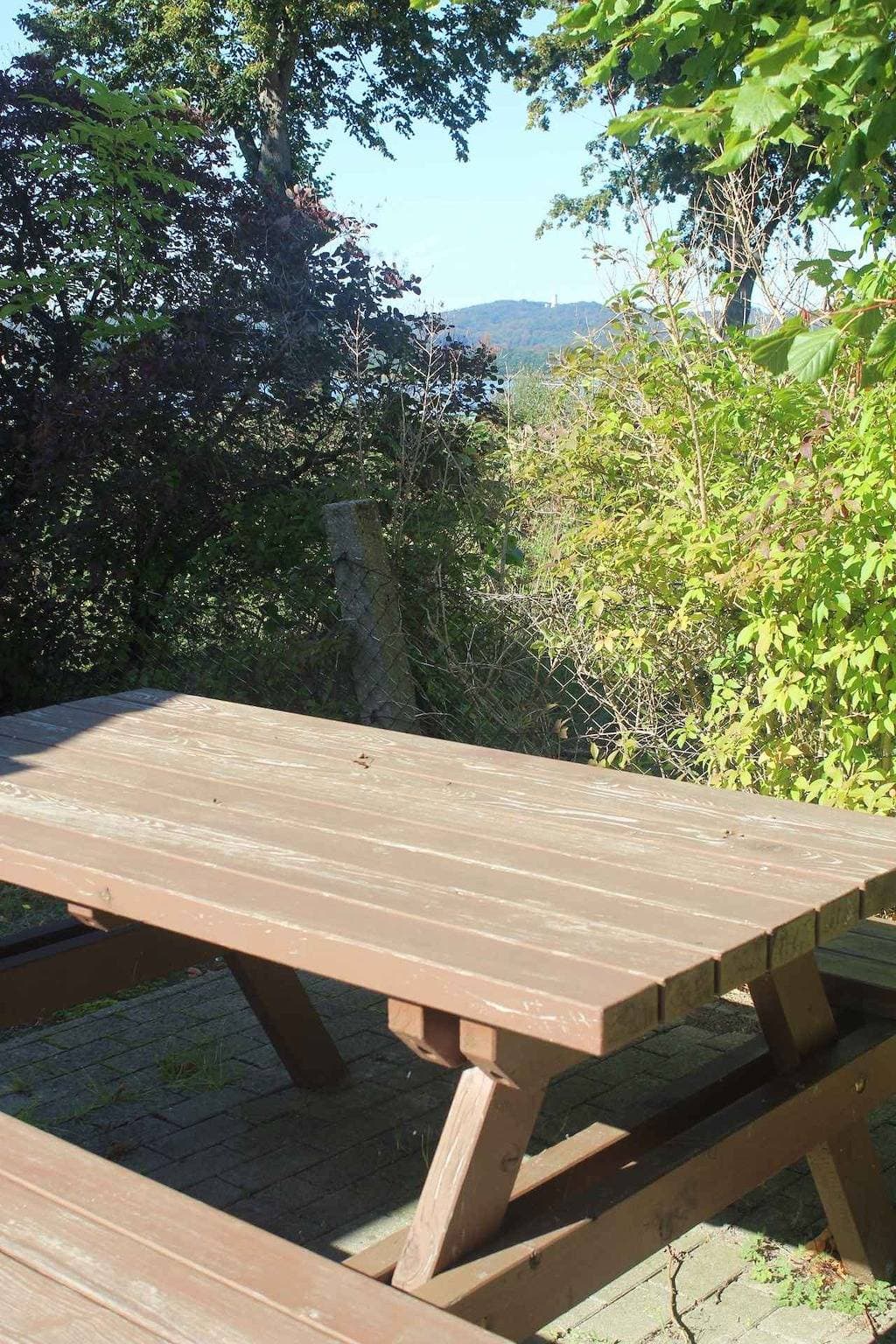 Foto 6 von 25: Ferienwohnung mit Seeblick