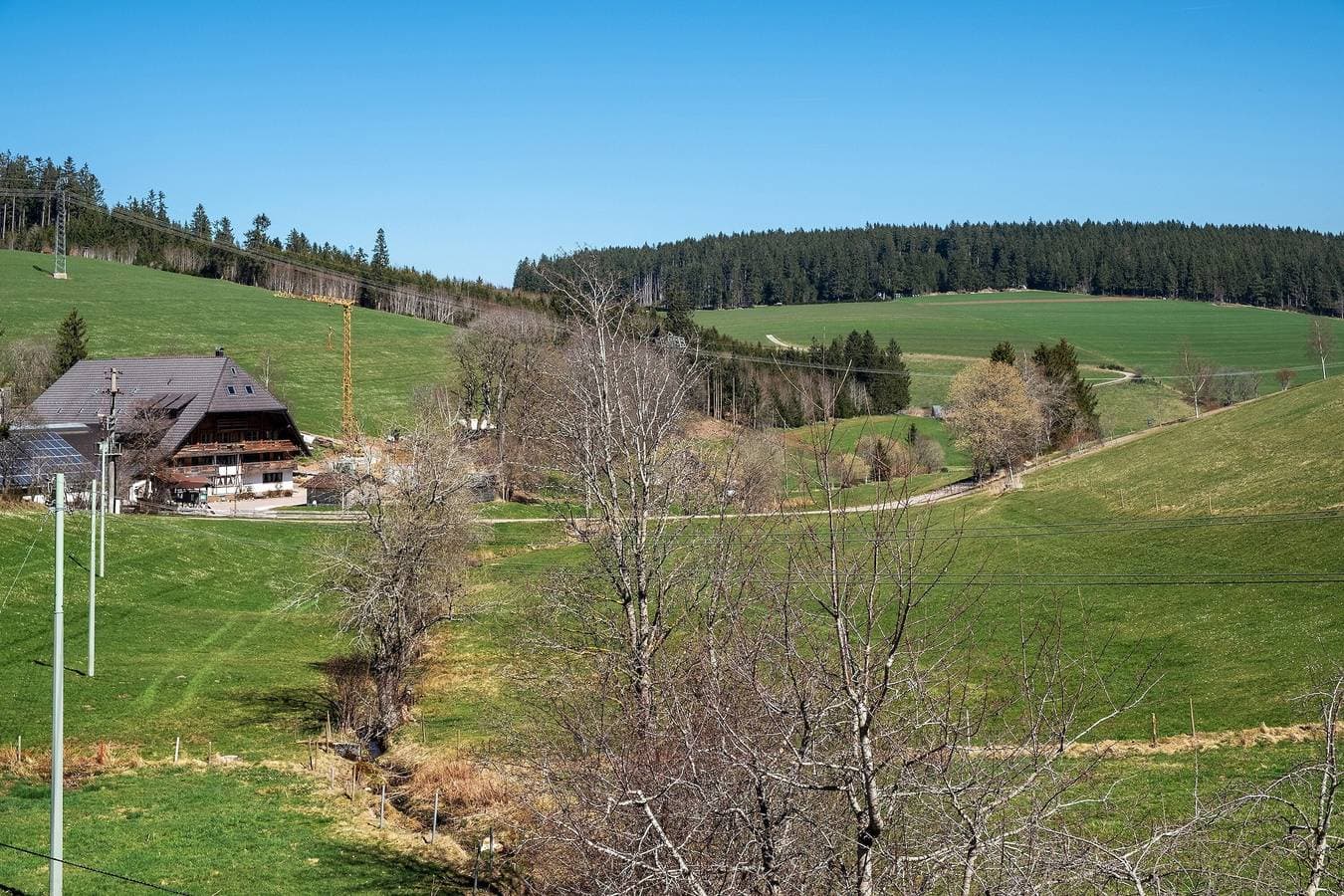 Foto 12 von 35: Ferienwohnung 'Armbruster' mit Gemeinschaftsterrasse, Gemeinschaftsgarten und Wi-Fi