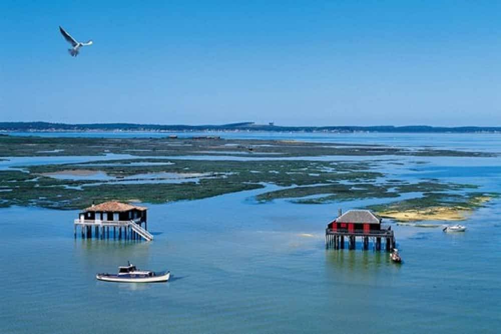Foto 13 von 21: Bucht von Arcachon \"La Douiria\" ruhiges Studio.