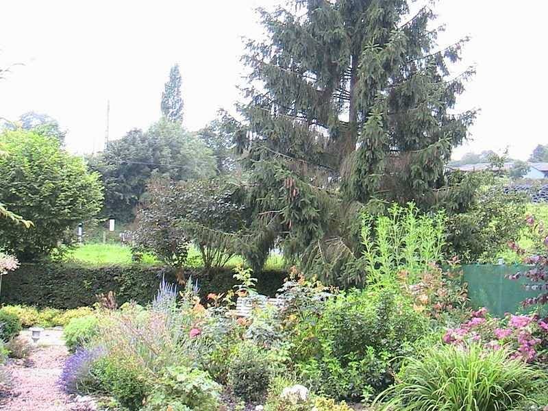 Foto 11 von 12: La jardinière de bas