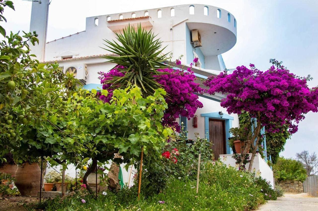 Jodi's Pension and The Garden House 1