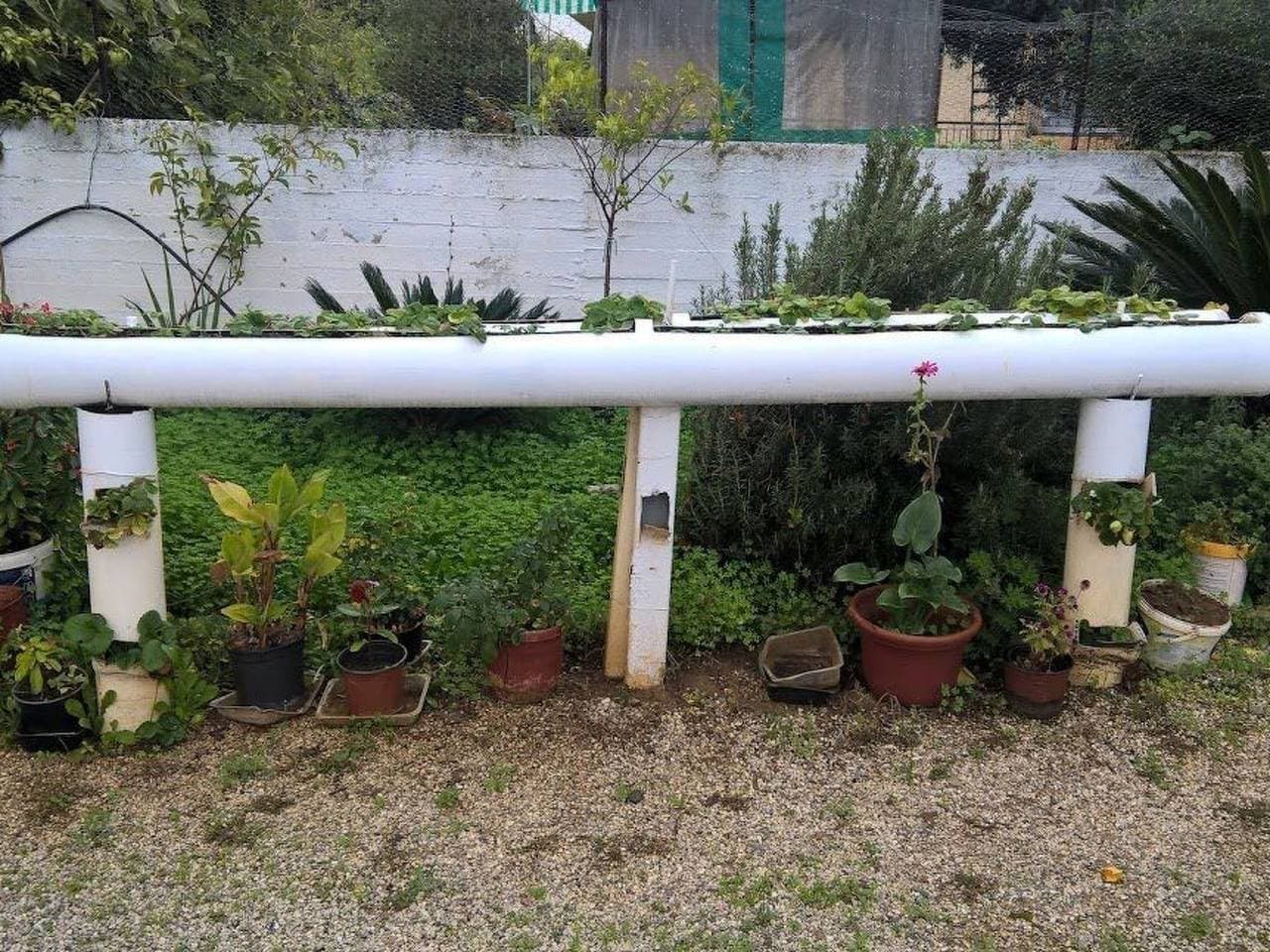 Foto 11 von 50: Zinovia Studio mit Balkon