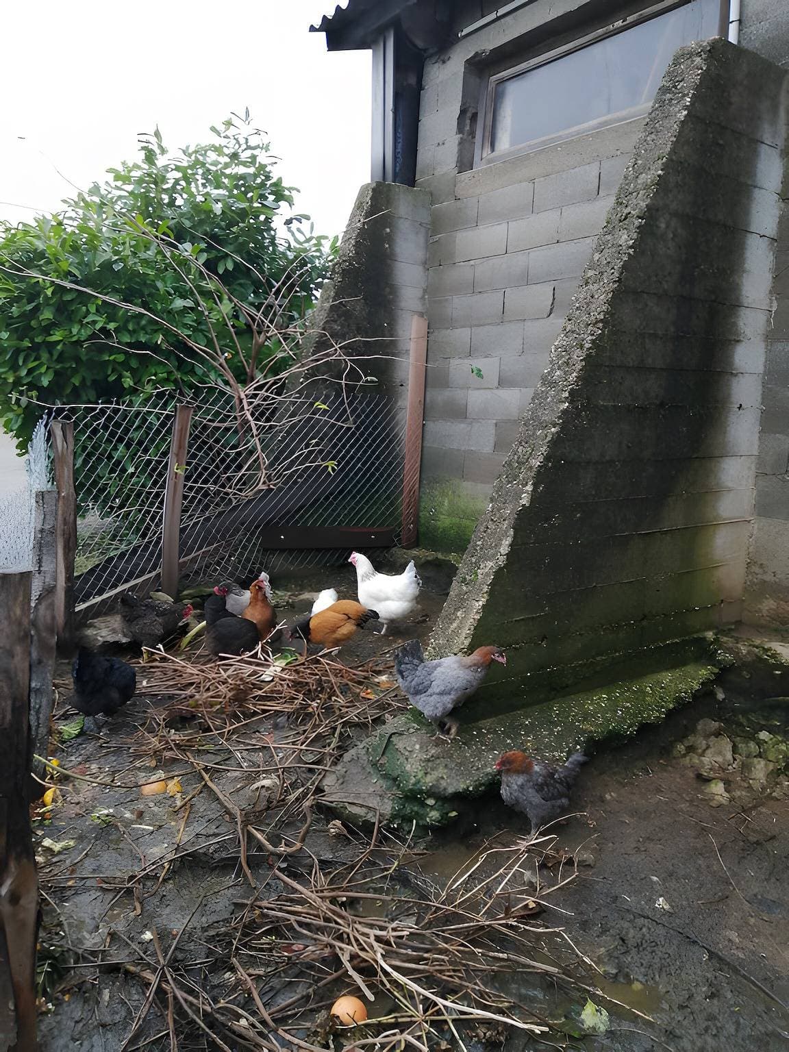 Foto 12 von 21: Ferienhaus 'Gîte Du Pré Charmant' mit privatem Garten und WLAN