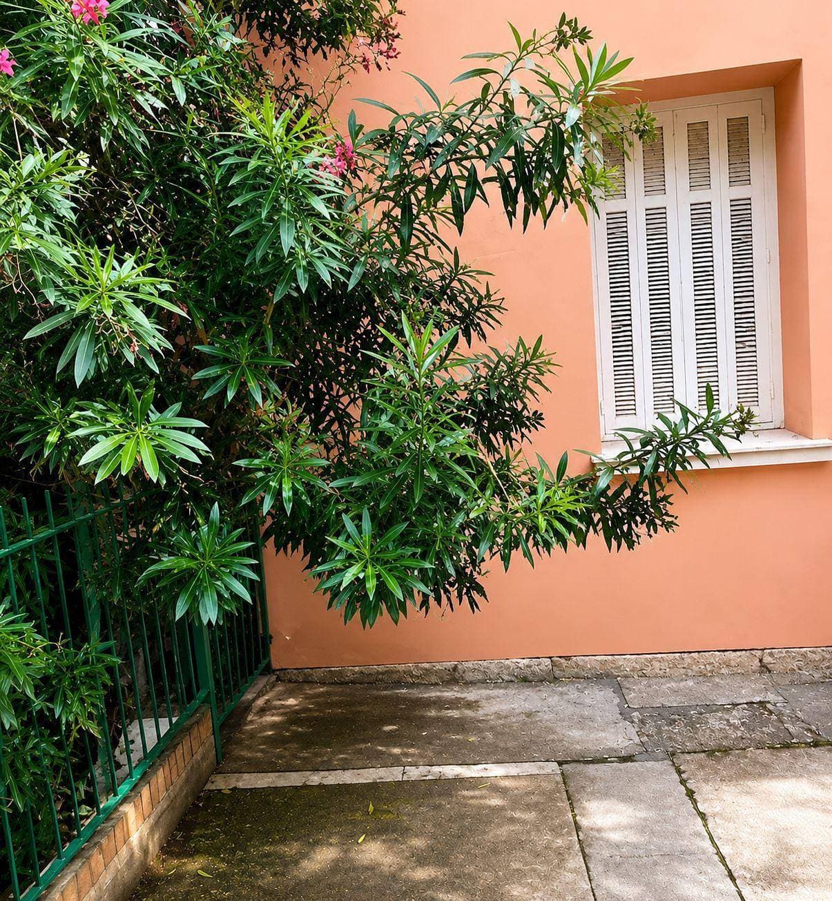Foto 9 von 13: Studio für 2 Personen mit Garten