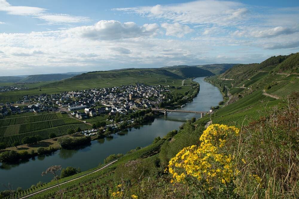 Foto 12 von 18: Ruhig gelegenes Ferienhaus mit Sauna direkt an der Mosel