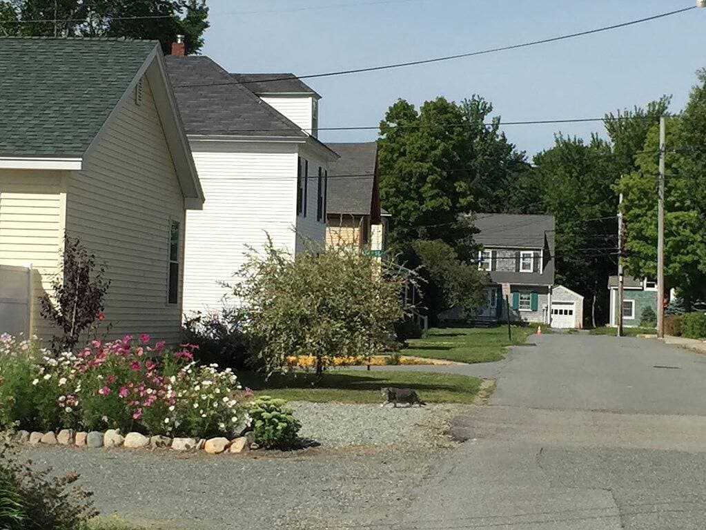 Foto 11 von 25: The Old Charm of Cozy Victorian in downtown
