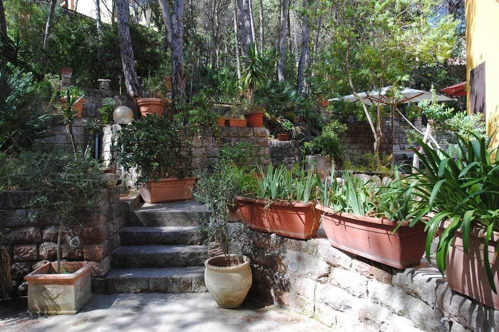Foto 13 von 30: Villa unter Pinien am Meer