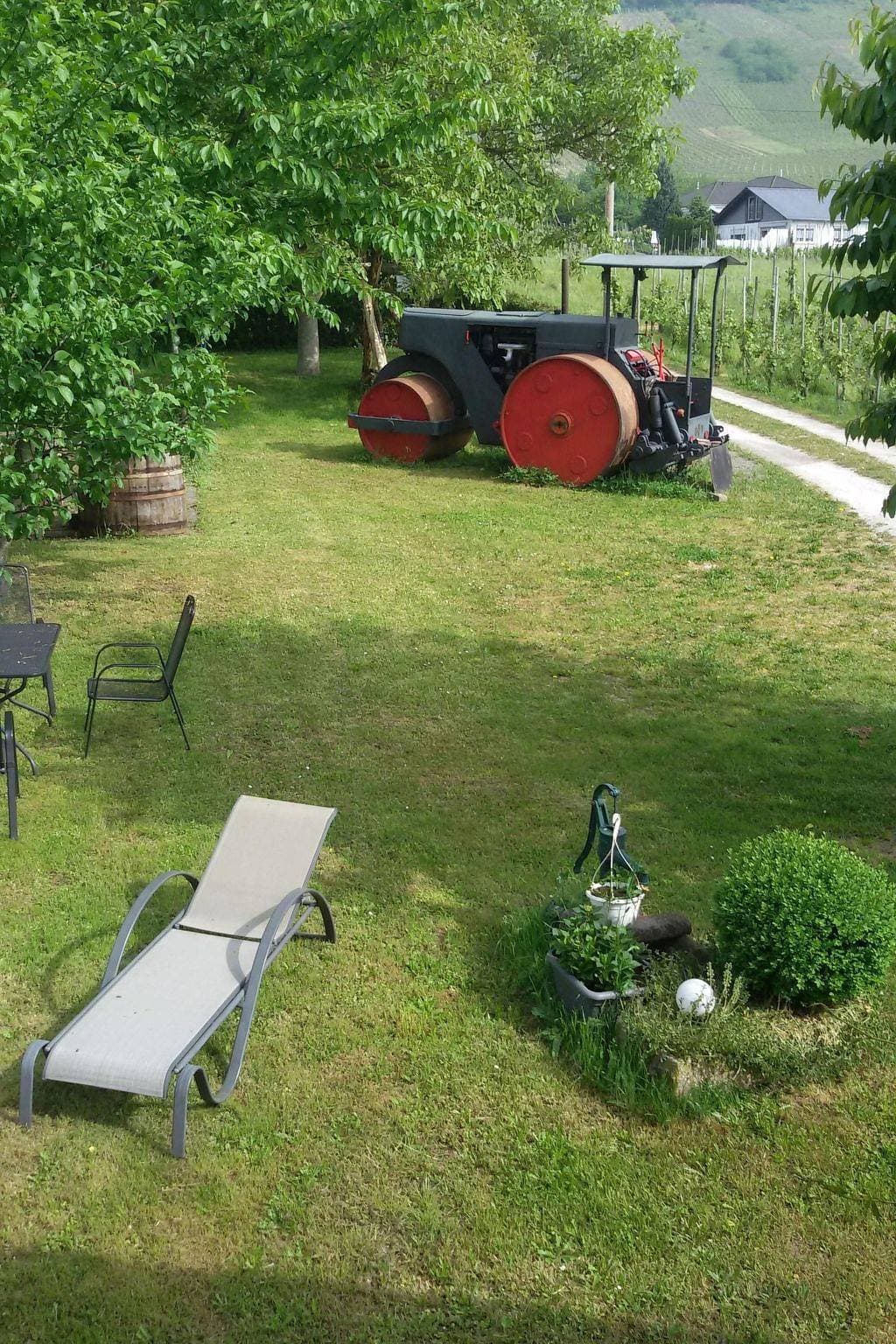Foto 7 von 9: Kirsche
