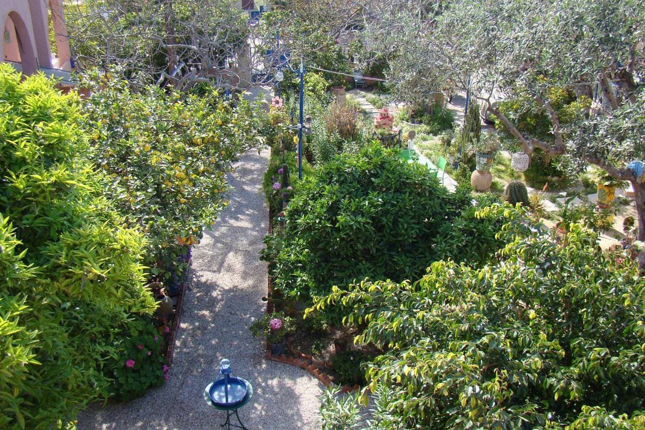 Foto 8 von 42: Apartment - Ground Floor with Garden View