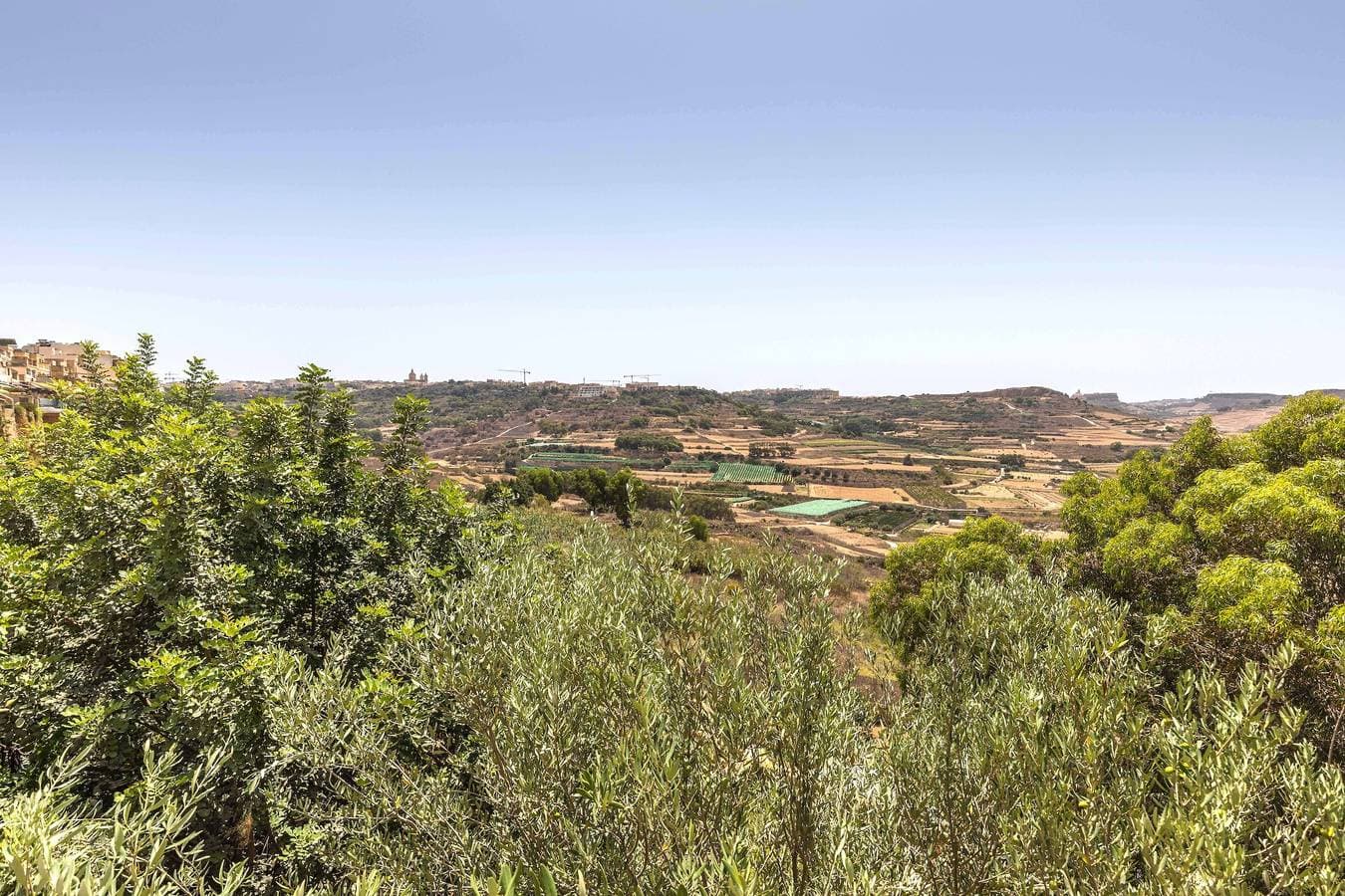 Foto 3 von 21: Villa für 8 Personen mit Meerblick