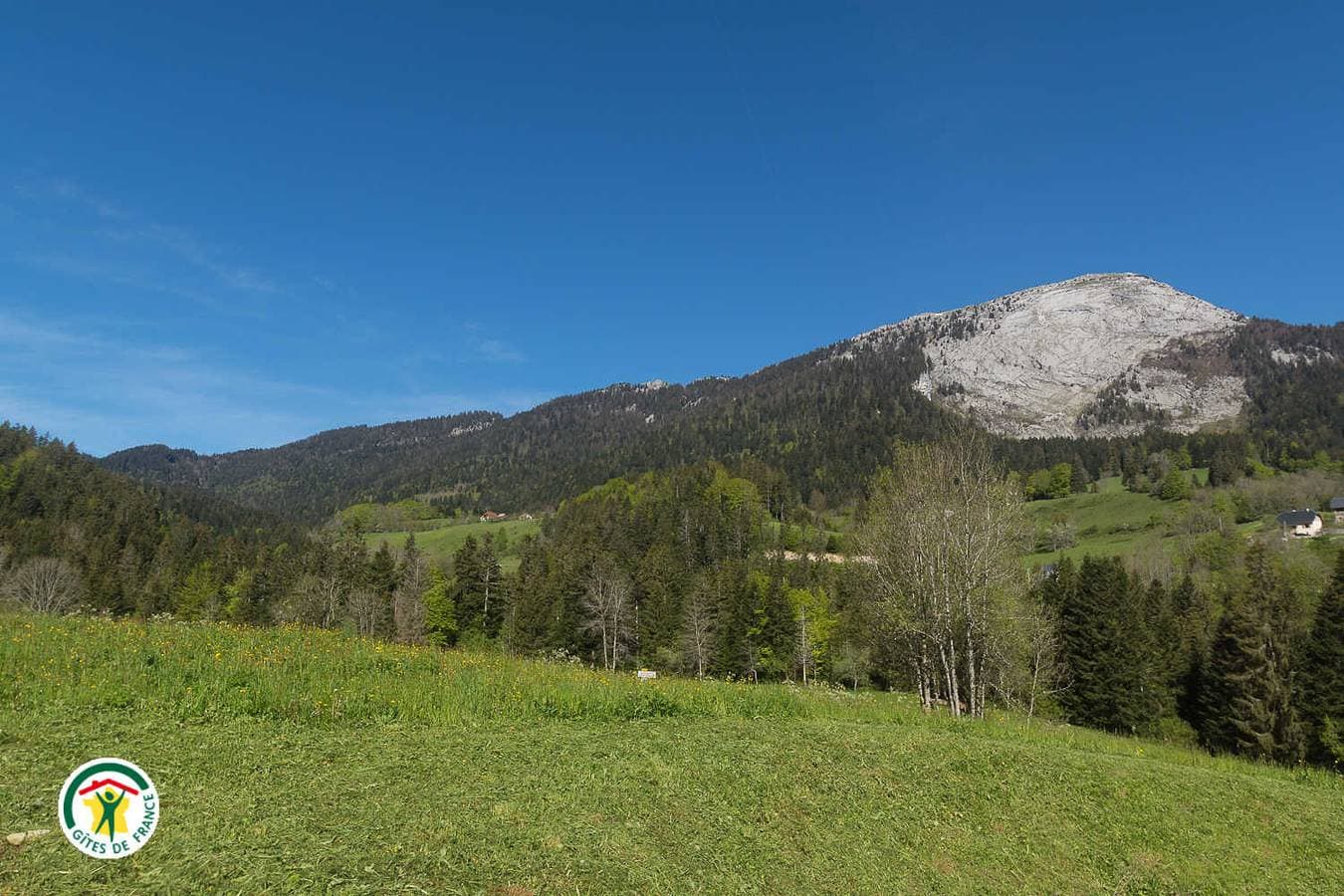Foto 5 von 25: La Centaurée