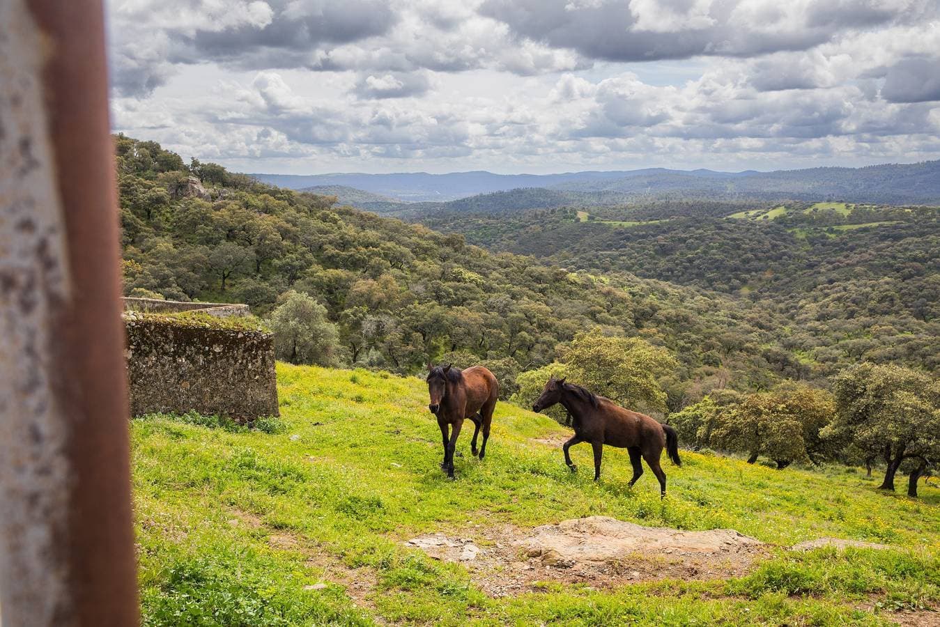 Finca la Arborea 1