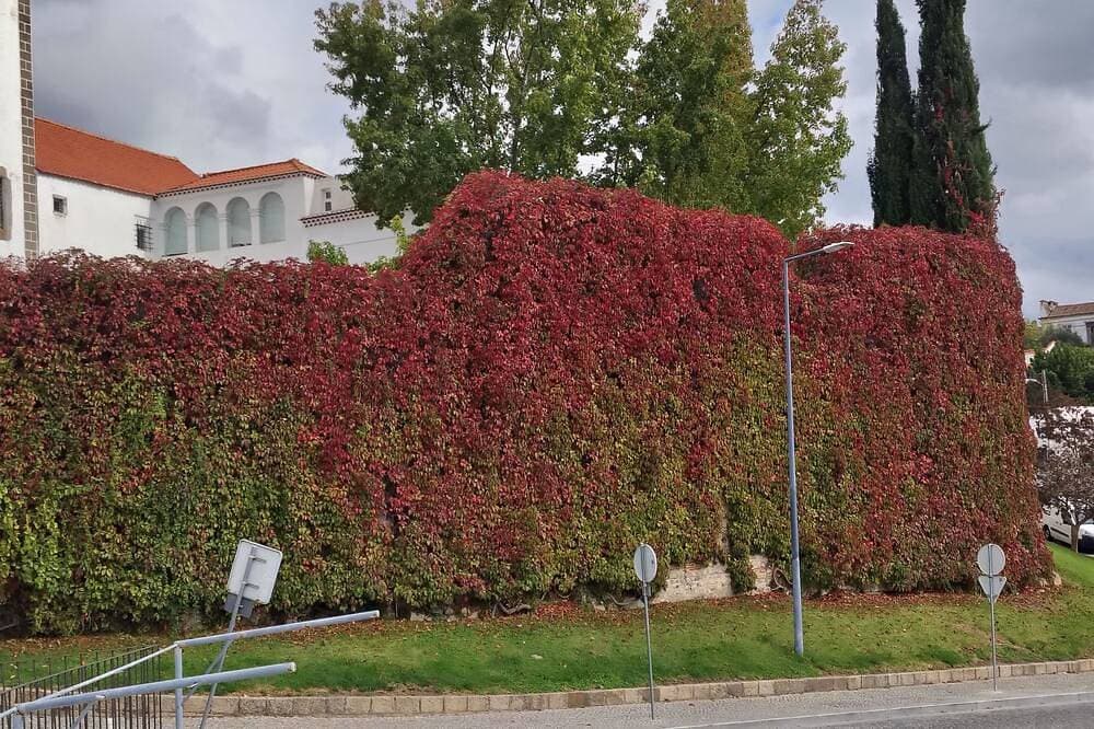 Foto 13 von 30: Cozy 1-bedroom apartment in tranquil Portalegre with AC