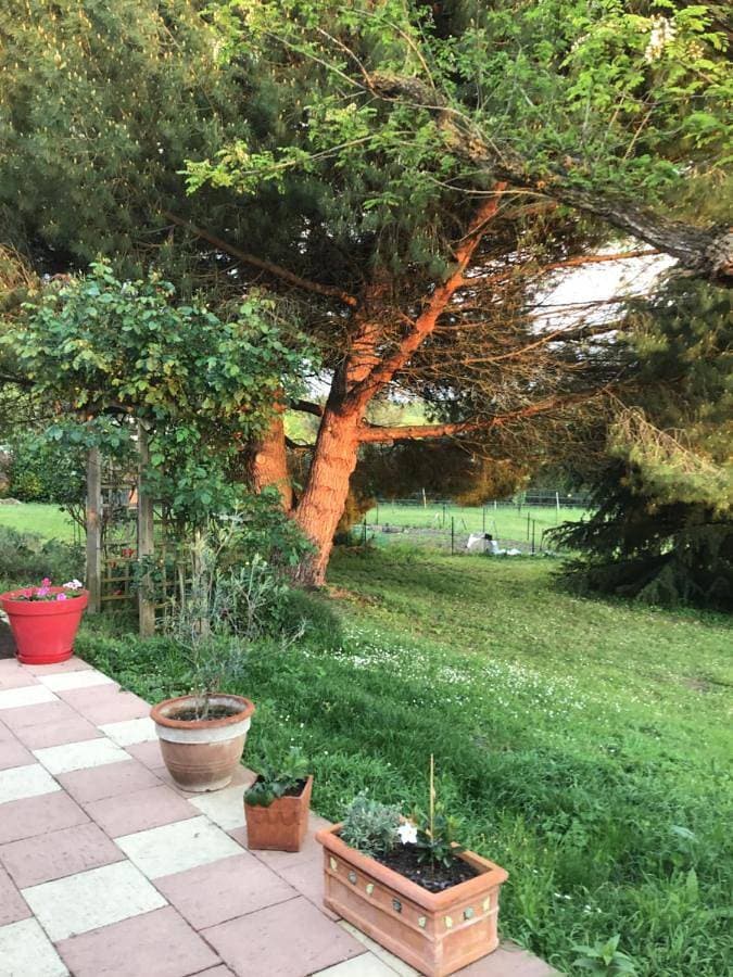 Des Roux et des Pious Suite de 35 à 60 m2 et 3 chambres pour groupe de 2 à 6 personnes 1