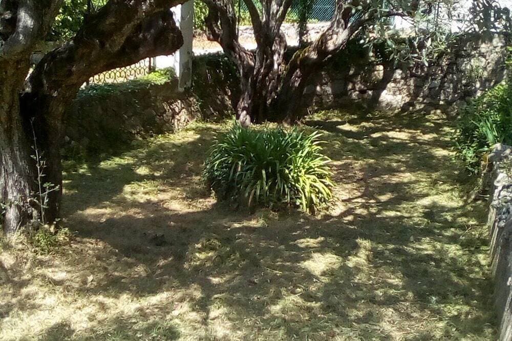Foto 13 von 22: Grün Zeder. eine Konserve Umwelt
