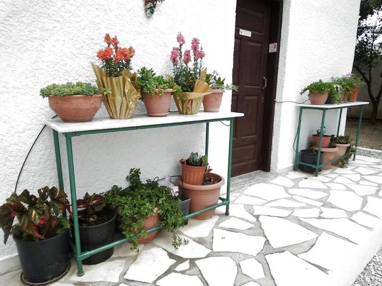 Foto 12 von 91: Apartments mit Gartenblick no12