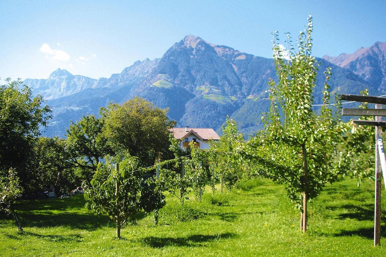 Foto 9 von 28: Wohnung in Dorf Tirol nahe Spronser Seen