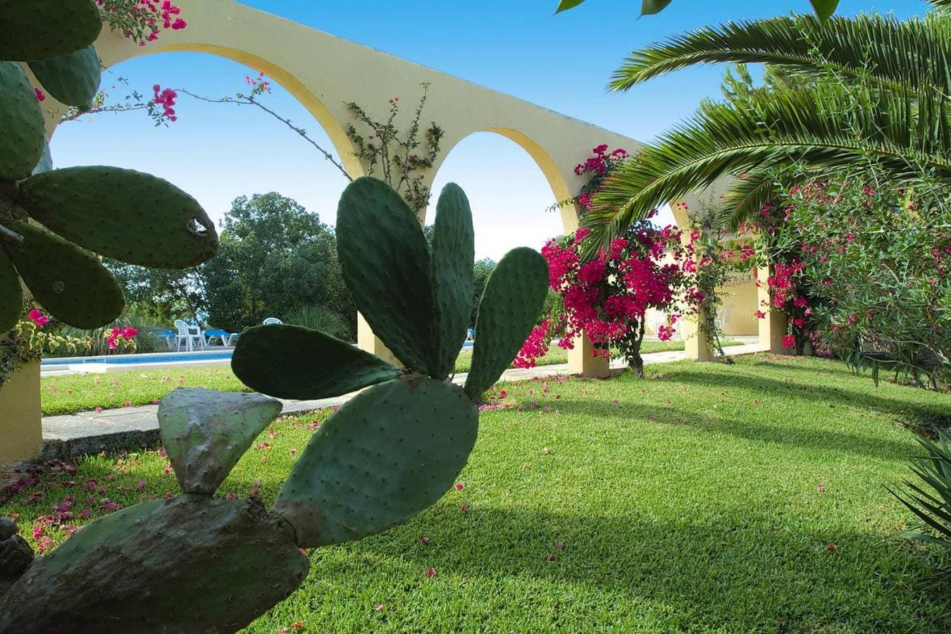 Foto 10 von 42: Finca in Santa Margalida mit Panoramablick